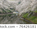 Cherry blossoms in full bloom, Imperial Palace, Chidorigafuchi 76426181