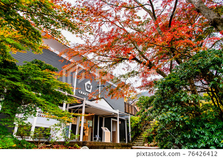 Gora Park in autumn colors, Hakone Town, Kanagawa Prefecture Gora Park in autumn colors, Hakone Town, Kanagawa Prefecture 76426412