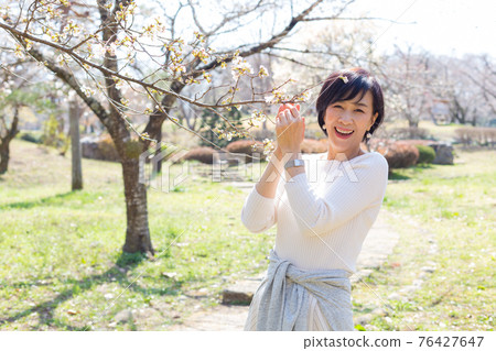 Middle-aged senior women enjoying spring in Chichibu, Saitama Prefecture 76427647