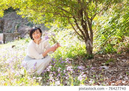 享受春天花朵的中高級婦女 享受春天花朵的中高級婦女 76427740