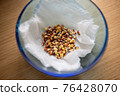 Kaiware daikon buds 76428070