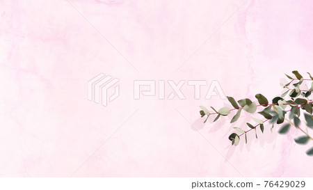 由粉紅色的牆壁和桉樹葉組成的令人耳目一新的圖像背景-存在多種變化 由粉紅色的牆壁和桉樹葉組成的令人耳目一新的圖像背景-存在多種變化 76429029