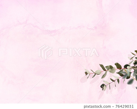 Refreshing image background composed of pink walls and eucalyptus leaves-there are multiple variations 76429031