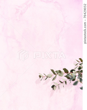 由粉紅色的牆壁和桉樹葉組成的令人耳目一新的圖像背景-存在多種變化 76429032