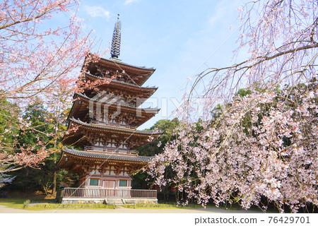 日本京都府京都市伏見區大高寺 76429701