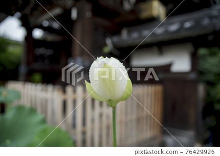 受雨季侵襲的正念寺哈斯 受雨季侵襲的正念寺哈斯 76429926