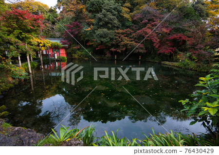 The main shrine of Asama Shrine Mt. Fuji Hongu Sengen Taisha 76430429