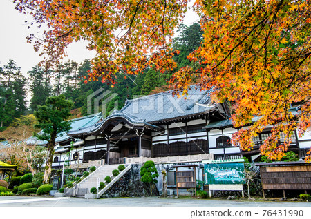 Daiyuzan Saijoji Temple, Minamiashigara City, Kanagawa Prefecture Shoin and Autumn Leaves 76431990