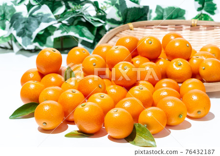Fresh fruit kumquat Fresh fruit kumquat 76432187