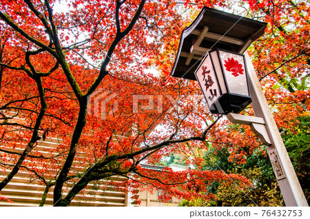 Daiyuzan Saijoji Temple, Minamiashigara City, Kanagawa Prefecture, Treasure Hall and Autumn Leaves Daiyuzan Saijoji Temple, Minamiashigara City, Kanagawa Prefecture, Treasure Hall and Autumn Leaves 76432753