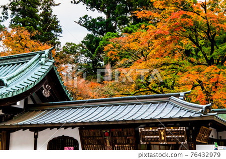 神奈川縣南足柄市大雄山西城寺 神奈川縣南足柄市大雄山西城寺 76432979