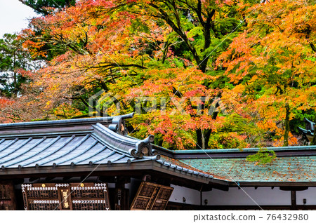 神奈川縣南足柄市大雄山西城寺 神奈川縣南足柄市大雄山西城寺 76432980
