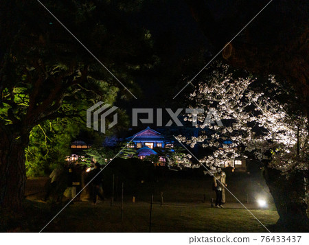 栗林庭園春季燈飾 76433437