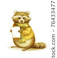 raccoon illustration 76433477
