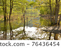Landscape surrounded by submerged forest 76436454