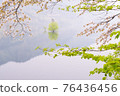 Mountain cherry blossom young leaf submerged forest 76436456