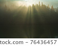 Golden light 76436457