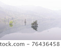 Hazy fresh green and submerged forest 76436458