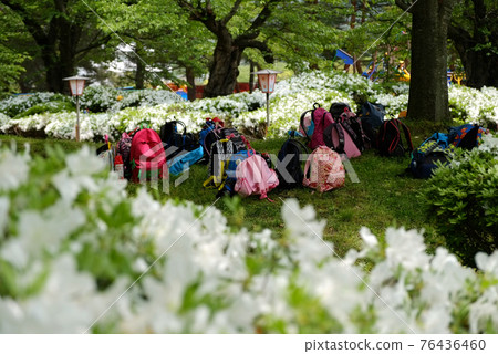 Excursion to Azalea Park 76436460