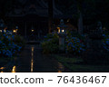 Hydrangea temple in the rain 76436467