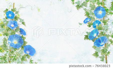 Summer image on a white background with blue morning glory 76438023