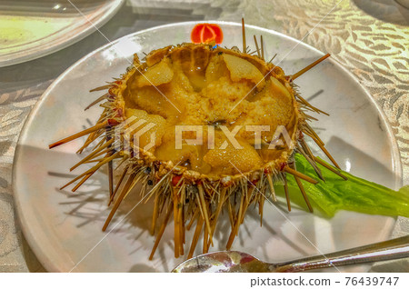 中國大連海膽菜 76439747