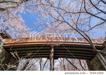 High cherry tree 76441898