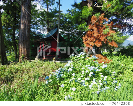 日本各地的嚴島神社群馬縣利根區水上町五館5 日本各地的嚴島神社群馬縣利根區水上町五館5 76442208