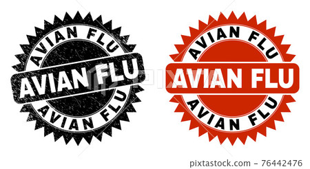 AVIAN FLU Black Rosette Stamp Seal with Unclean... - Stock Illustration ...