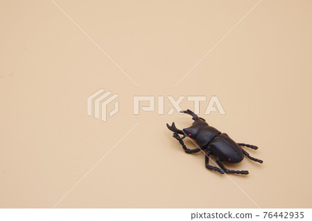 Memories of stag beetles and summer vacation Memories of stag beetles and summer vacation 76442935