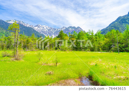 Kamikochi in early summer Tashiro Marsh [Nagano Prefecture] 76443615