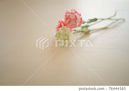 Mother's Day hand-knitted carnation gift 76444165