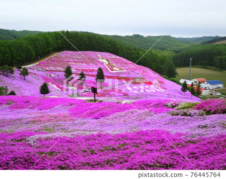 Hisashimo and Shibaura Park 76445764