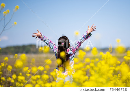 A girl who spreads her hands in a flower field A girl who spreads her hands in a flower field 76446718
