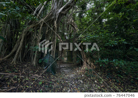 沖繩史蹟第32軍本部坑 76447046