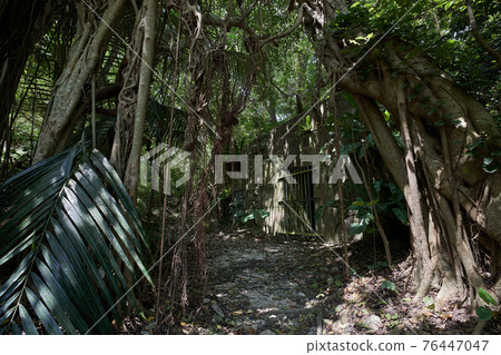 沖繩史蹟第32軍本部坑 76447047