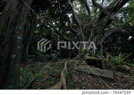 Okinawa Sanctuary Pilgrimage Place Ten Mitake Ibi no Mori 76447284