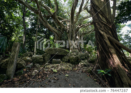 沖繩的能量點 Sanctuary Tenmitake Ibi no Mori 76447287