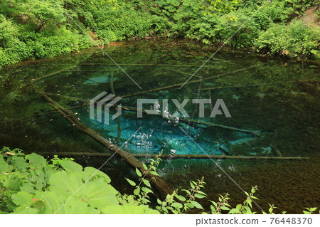 Kaminoko Pond 1 76448370