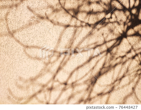 Silhouette or shadow of tree branches on concrete wall background 76448427