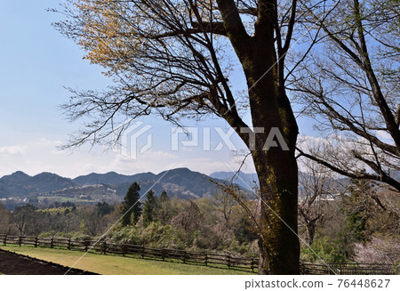 [神奈川縣] 月井湖城山公園朝富士山方向 76448627