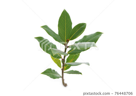 Bakeway Bakeway 76448706