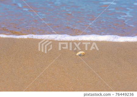 沙灘上留下的白色貝殼 76449236