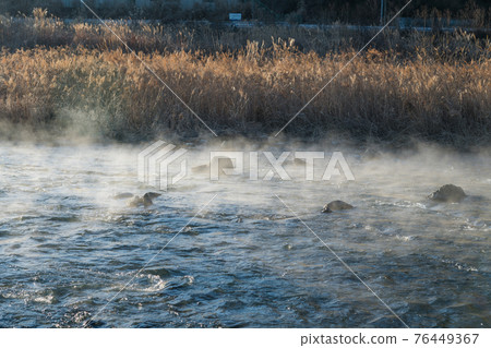 [Steam fog generated in Nakatsugawa in the early morning of January] 76449367