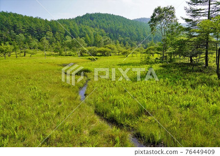Nyukasayama 凸起的沼澤 76449409
