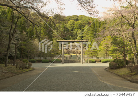 春季武藏墓公墓多摩五棱 春季武藏墓公墓多摩五棱 76449457