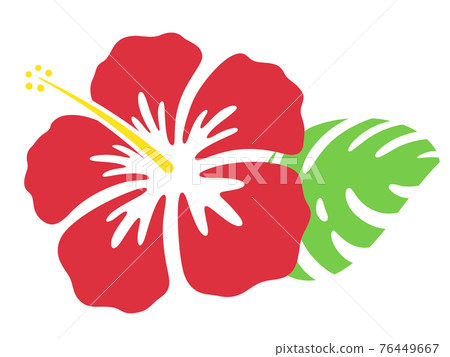 芙蓉花和龜背竹的插圖 76449667