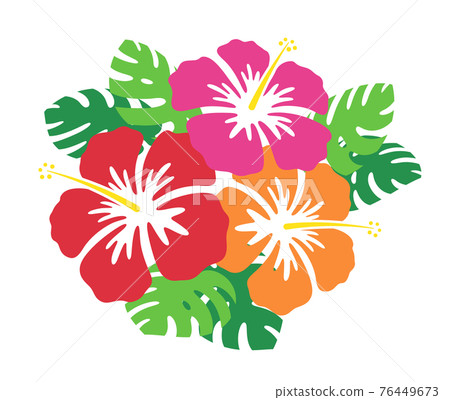 芙蓉花和龜背竹的插圖 76449673