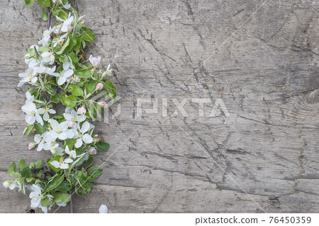 Happy Mother's day greeting card. Twig with apple blossom on old wooden background; space for text 76450359