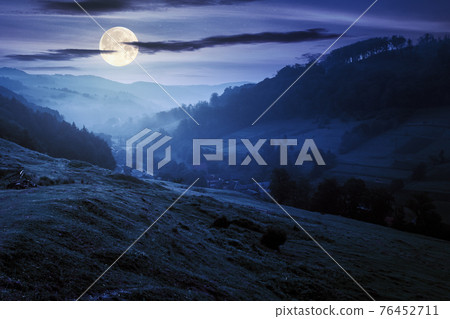 valley on the foggy night. village in the distance. grass and flowers on the hill in full moon light. beautiful countryside scenery. dark clouds on the sky 76452711